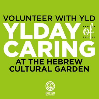 YLDay of Caring